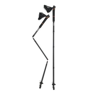 Silva Running Poles Carbon 110Cm