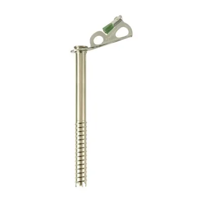 Black Diamond Express Ice Screw 22Cm, kuva 1 / 1