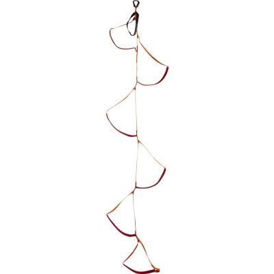 Black Diamond Six-Step Etrier