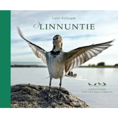 Karttakeskus Linnuntie - Nocolor - OneSize - Partioaitta