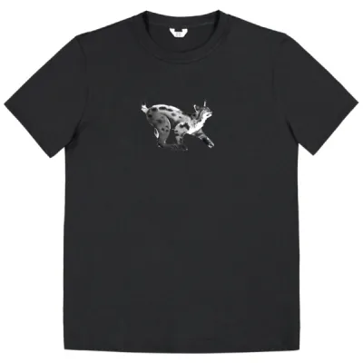 Moiko OVELA ILVES T-SHIRT