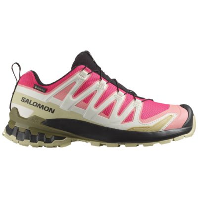 Salomon XA PRO 3D V9 GTX W