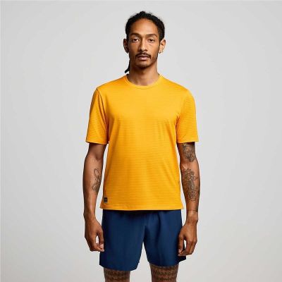 Saucony Kinvara Short Sleeve Men Citron