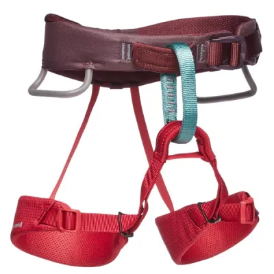 Black Diamond Momentum Harness - Kids' Wild Rose, kuva 1 / 1