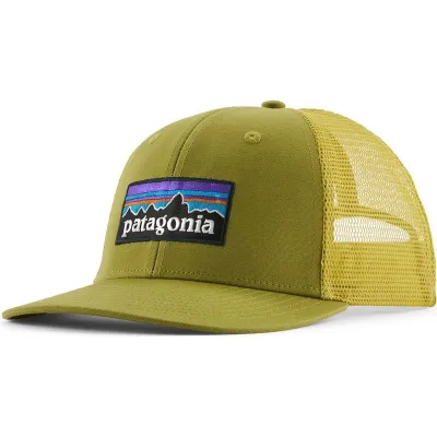 Patagonia P-6 Logo Trucker Hat Graze Green, kuva 1 / 1