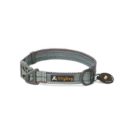 OllyDog Flagstaff Collar | Alk. 4,45 €
