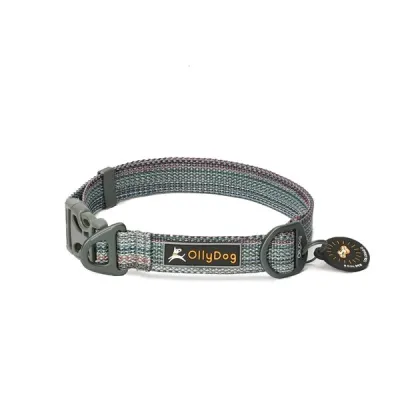 OllyDog Flagstaff Collar, kuva 1 / 1