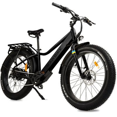 RAWBIKE URBAN Onyx