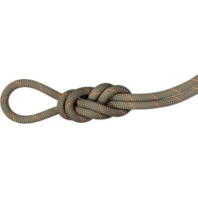 Mammut 9.9 Gym Workhorse Classic Rope 50m | Alk. 100,00 €