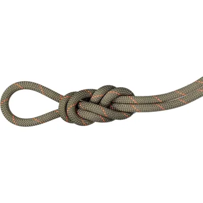 Mammut 9.9 Gym Workhorse Classic Rope 50m, kuva 1 / 1