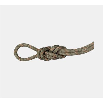 Mammut 9.9 Crag Workhorse Dry Rope 70m