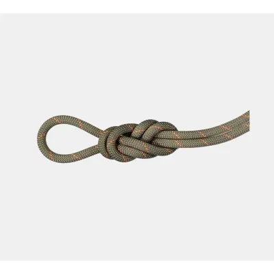Mammut 9.9 Crag Workhorse Dry Rope 70m, kuva 1 / 1