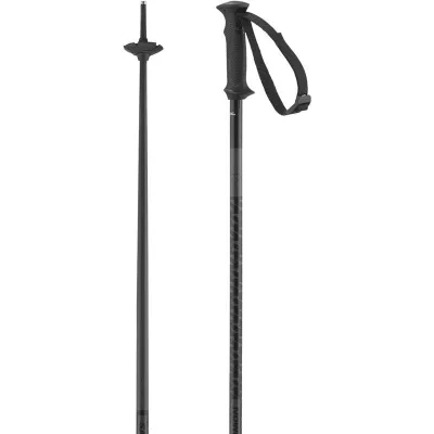 Salomon Polar Access Poles Black, kuva 1 / 1
