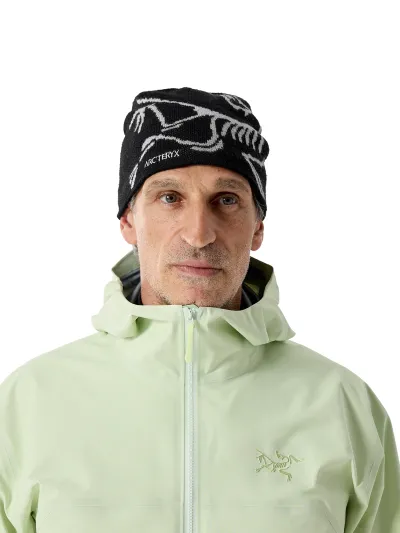 Arc'teryx Bird Head Toque, kuva 1 / 1
