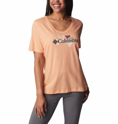 Columbia Women's Bluebird Day Graph Tee naisten t-paita