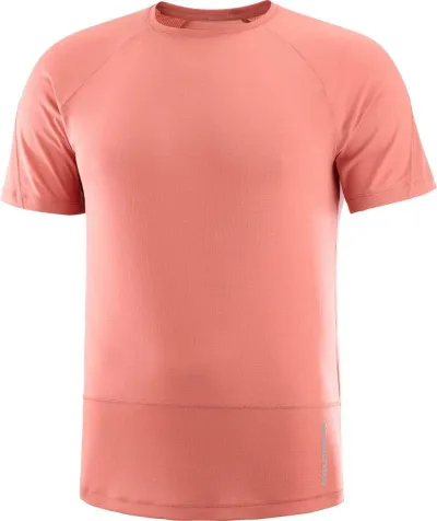Salomon Men's Cross Run Tee miesten t-paita, kuva 1 / 1