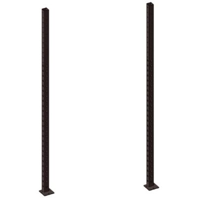 Master Fitness Uprights 275 cm - Par, Rig