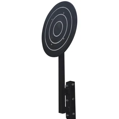 Master Fitness Wall Ball Target, Rig