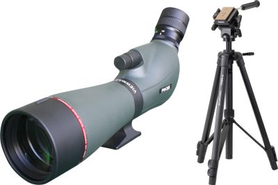 Focus Viewmaster ED 16-48 x 65 & Videomate kiikarit