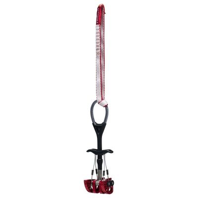 Black Diamond C4 Extendable Slng Camalot #1