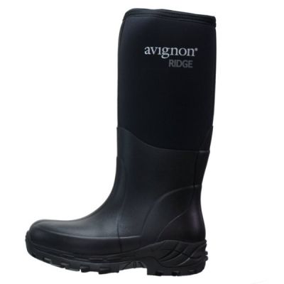 Avignon Ridge High - 37