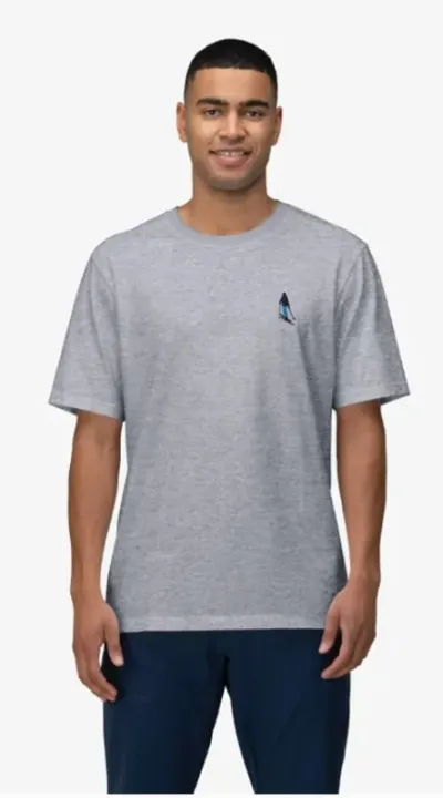 Norrøna /29 Cotton ActivityEmbroidery T-Shirt M'S Grey Melange - XL, kuva 1 / 1