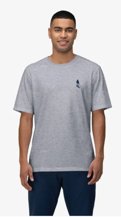 Norrøna /29 Cotton ActivityEmbroidery T-Shirt M'S Grey Melange - L