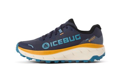 Icebug Arcus 2 Women's BUGrip GTX - Inkling/Yam