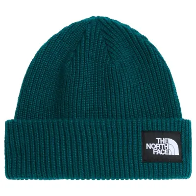The North Face Salty Lined Beanie Pacific Teal - OS, kuva 1 / 1