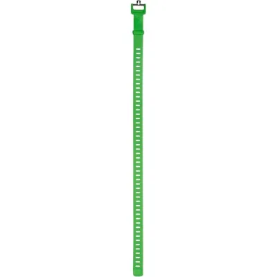 Black Diamond Ski Strap Envy Green