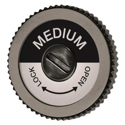 Swix Ta3013M Evo Spare Disc - Coarse